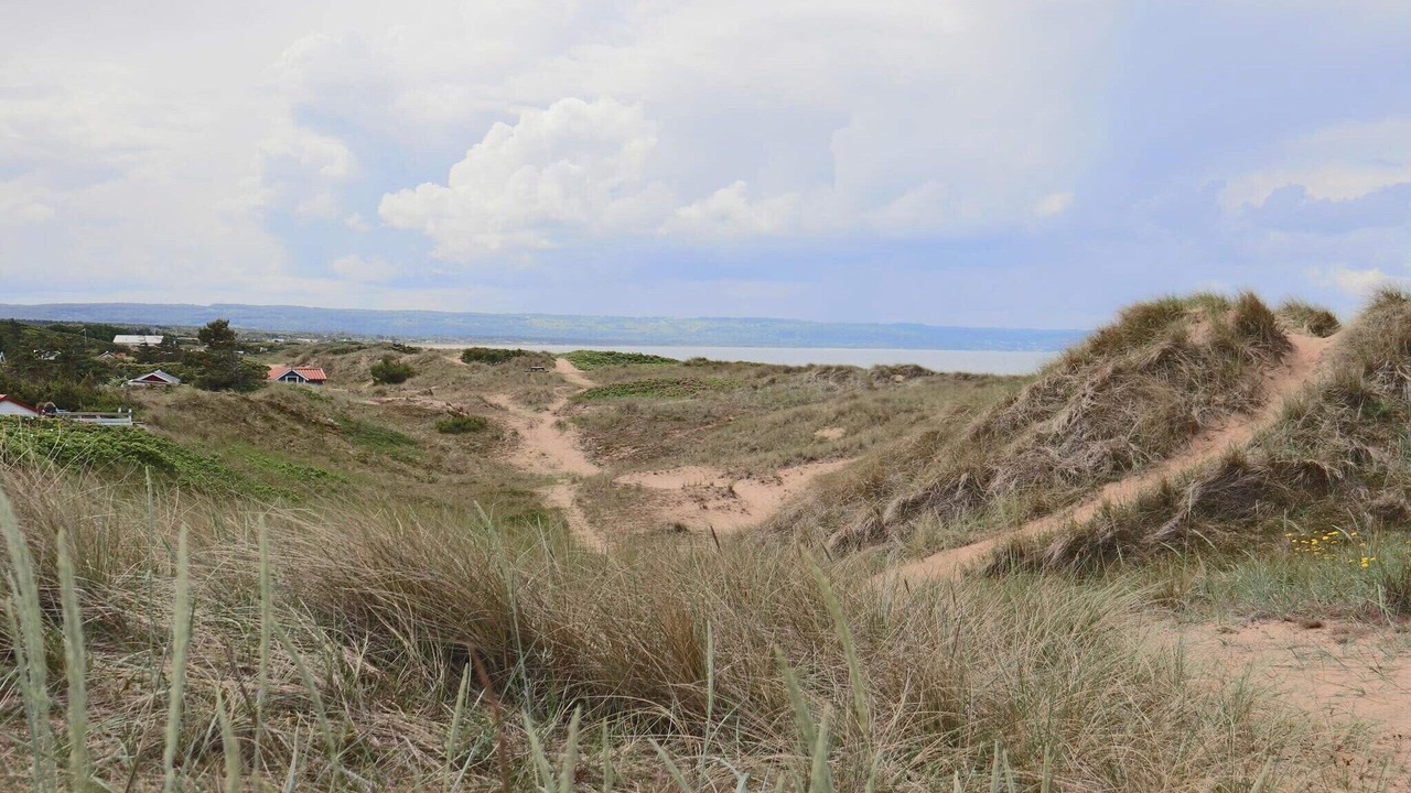 Photo of Others in Mellbystrand