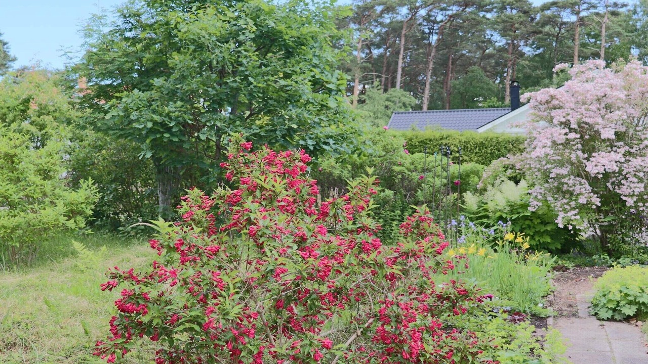 Photo of Outdoor in Mellbystrand
