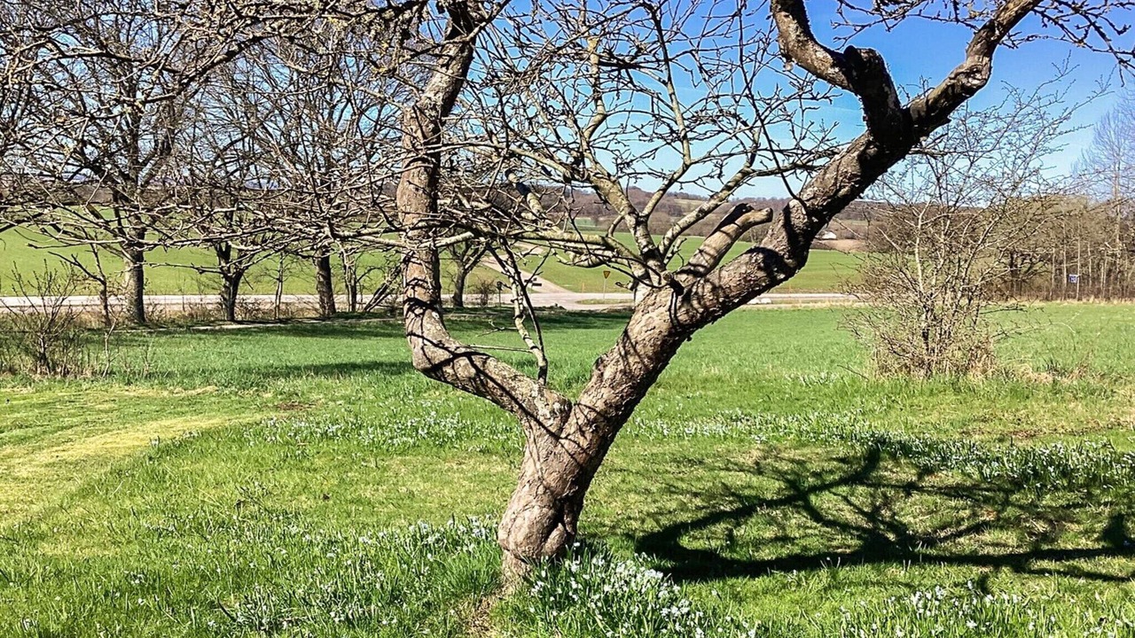 Photo of Outdoor in Margretetorp