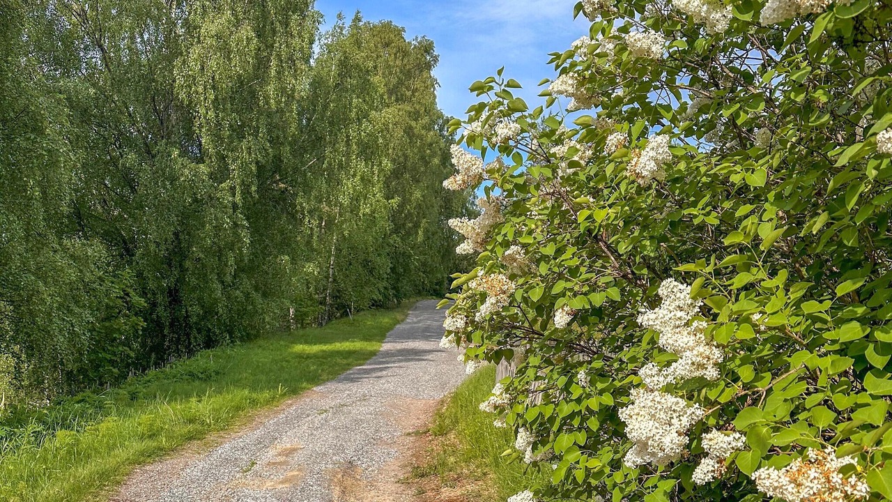 Photo of Others in Sundsvall Municipality