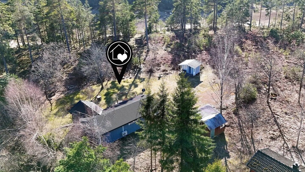 Photo of Outdoor in Monsteras