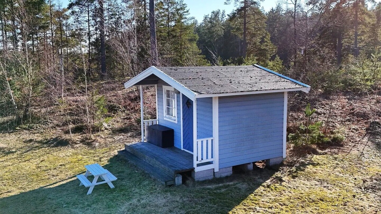Photo of Outdoor in Monsteras