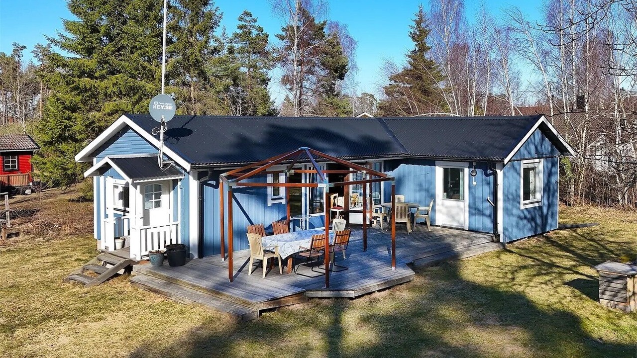 Photo of Outdoor in Monsteras
