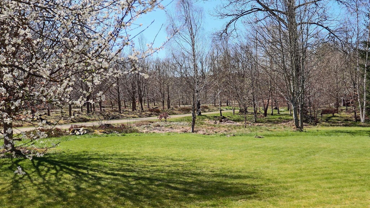 Photo of Others in Ljungbyhed
