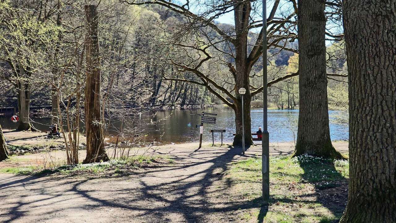 Photo of Others in Ljungbyhed