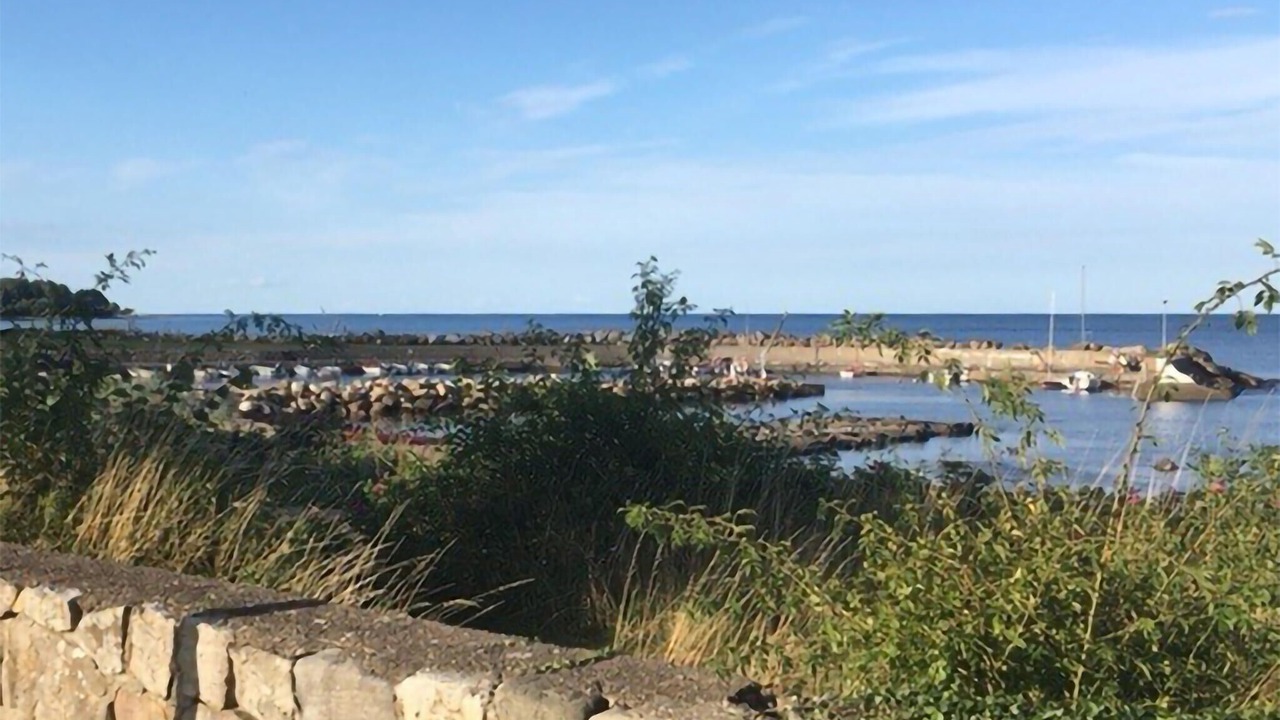 Photo of Others in Brantevik