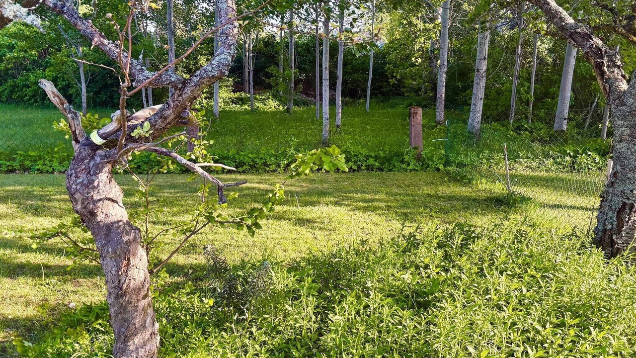 Photo of Outdoor in Sodra Vi