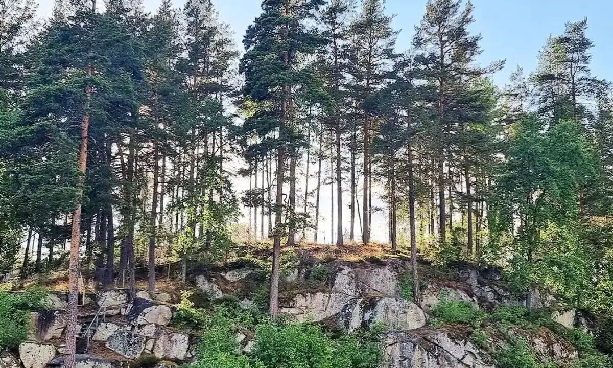 Photo of Others in Gullringen