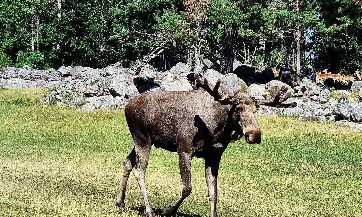 Photo of Others in Gullringen