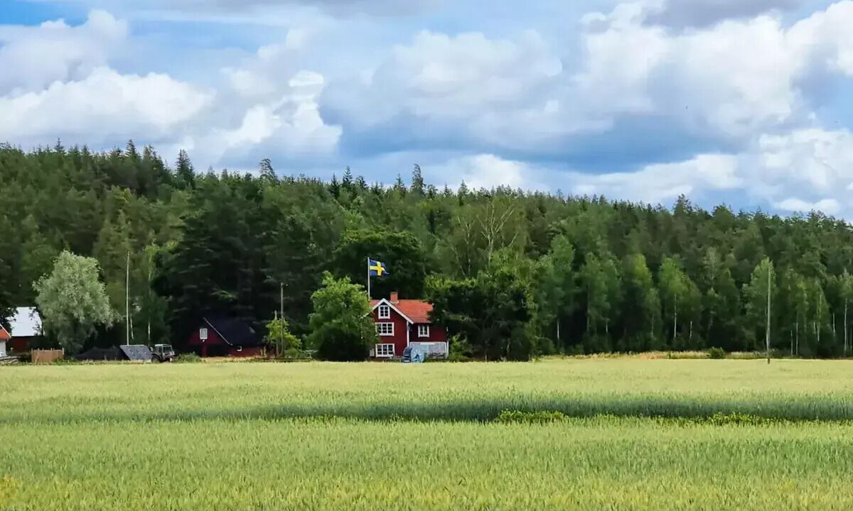 Photo of Others in Gullringen