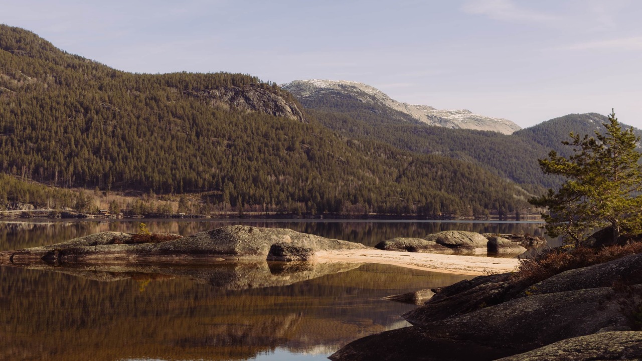 Photo of Others in Kviteseid