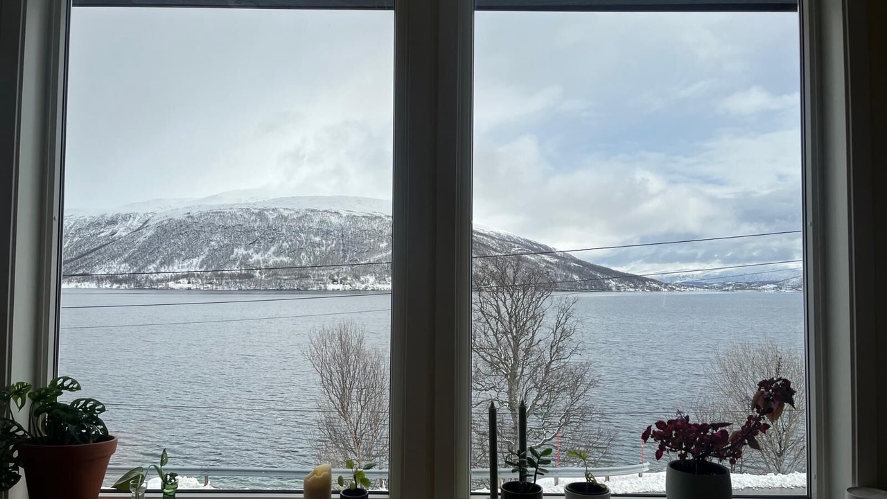 Photo of Others in Ersfjordbotn