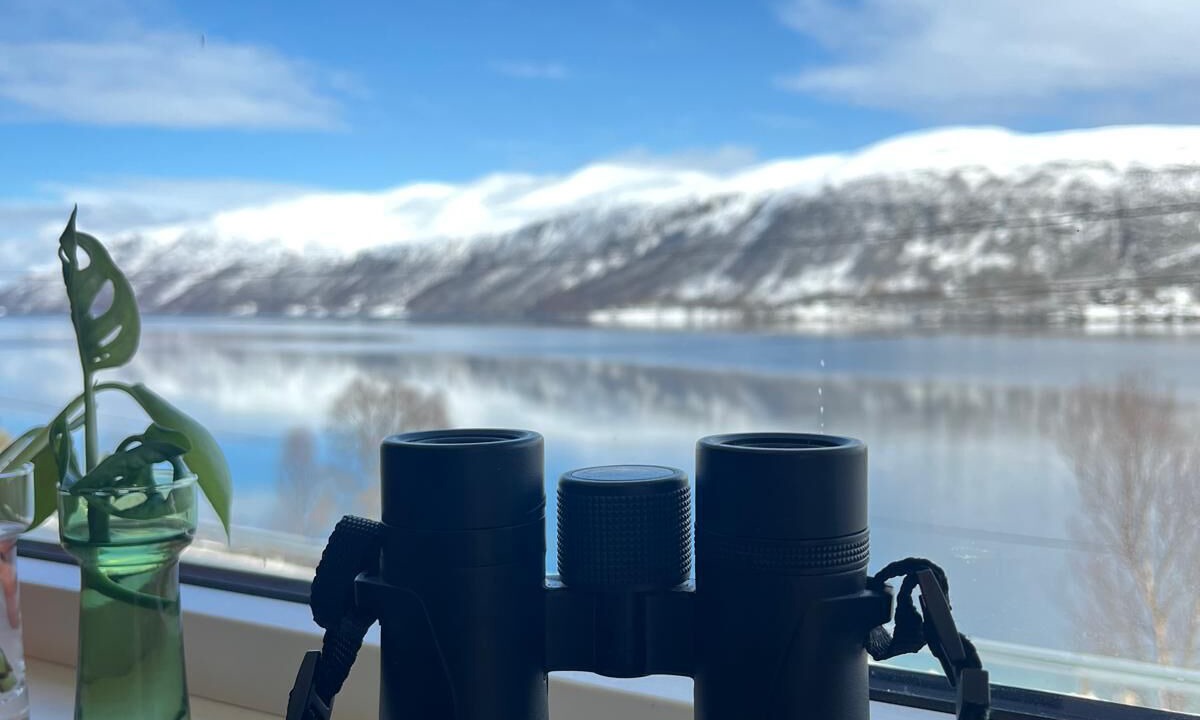 Photo of Others in Ersfjordbotn