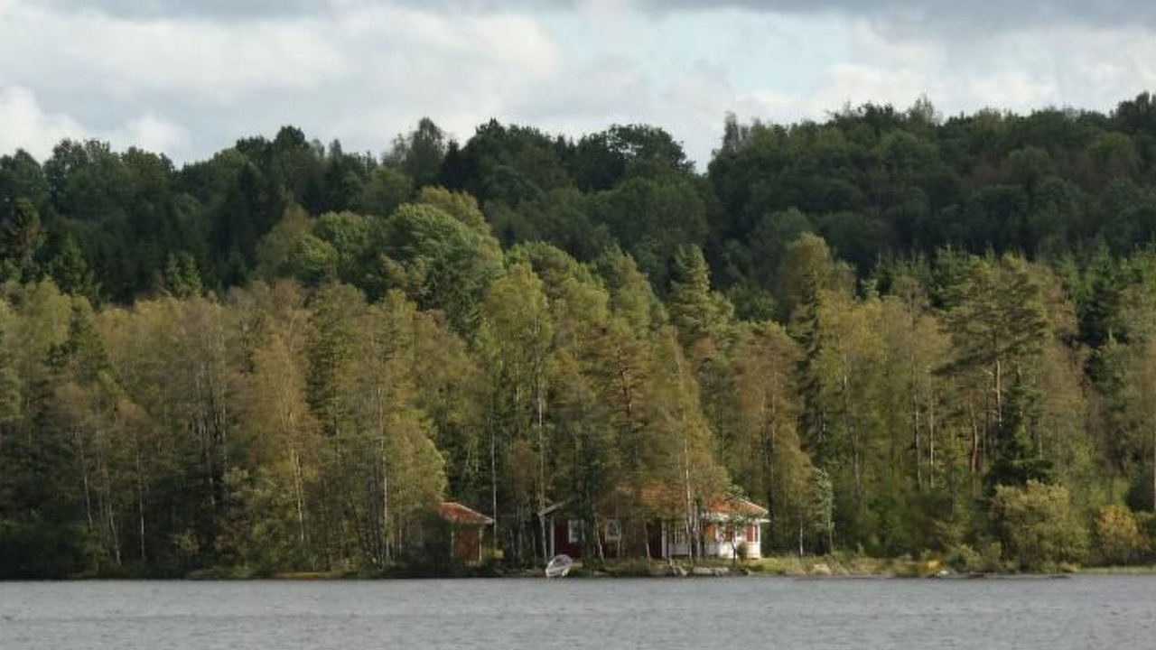 Photo of Others in Sexdrega