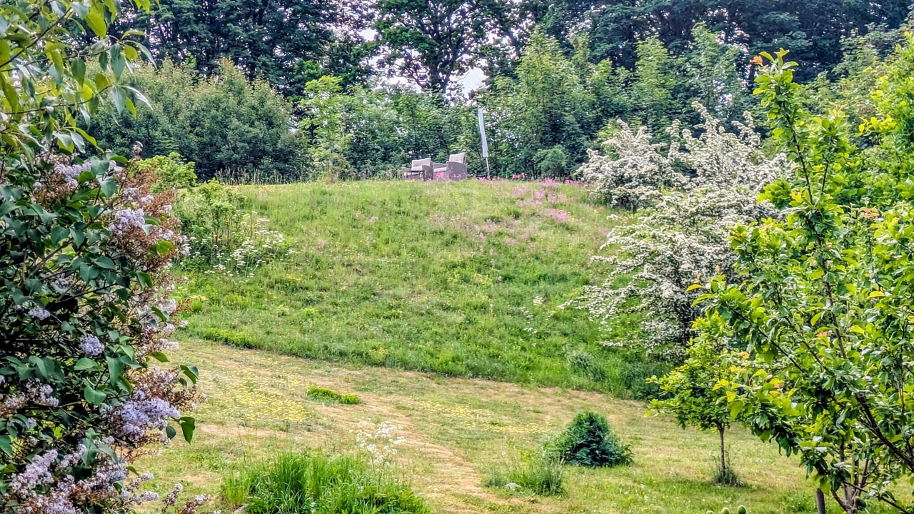 Photo of Others in Smedstorp