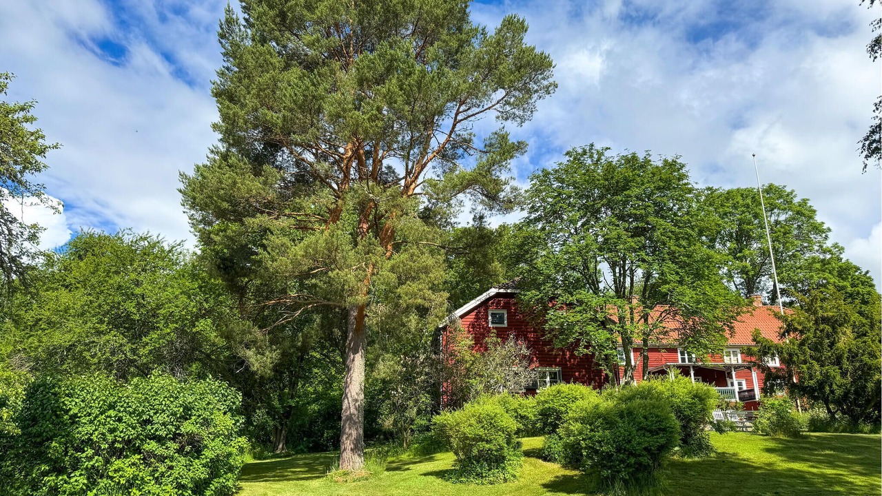 Photo of Others in Blackstad