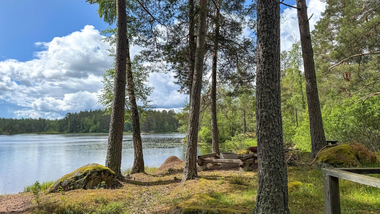 Photo of Others in Blackstad