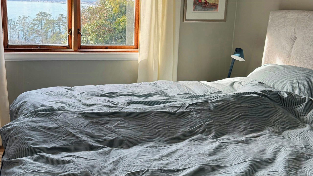 Photo of Bedroom in Moss