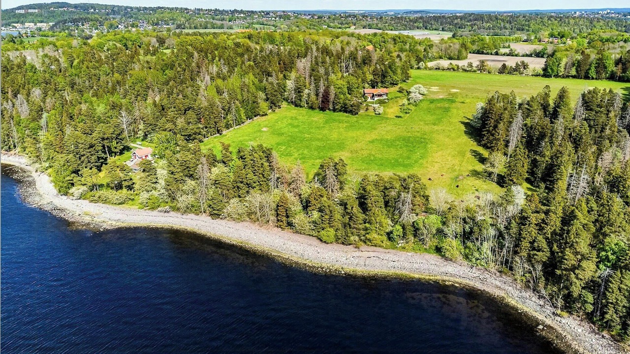 Photo of Outdoor in Moss