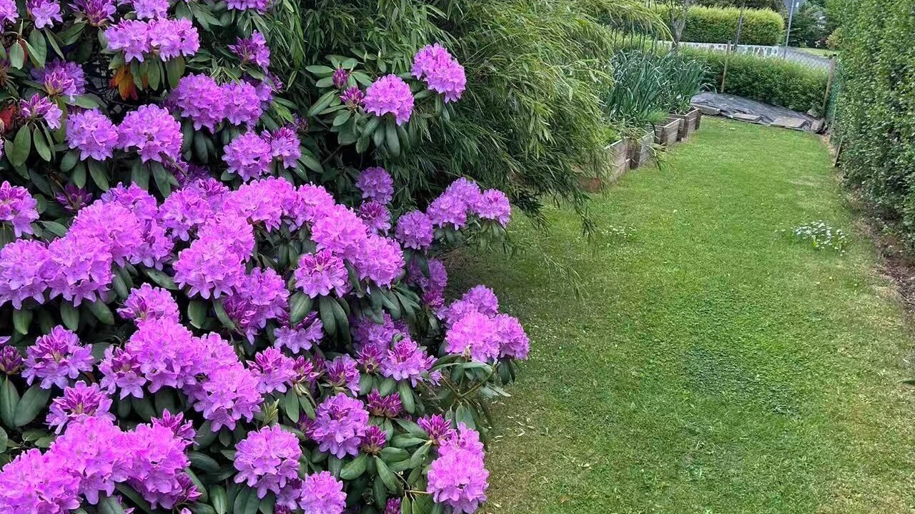 Photo of Outdoor in Bastad
