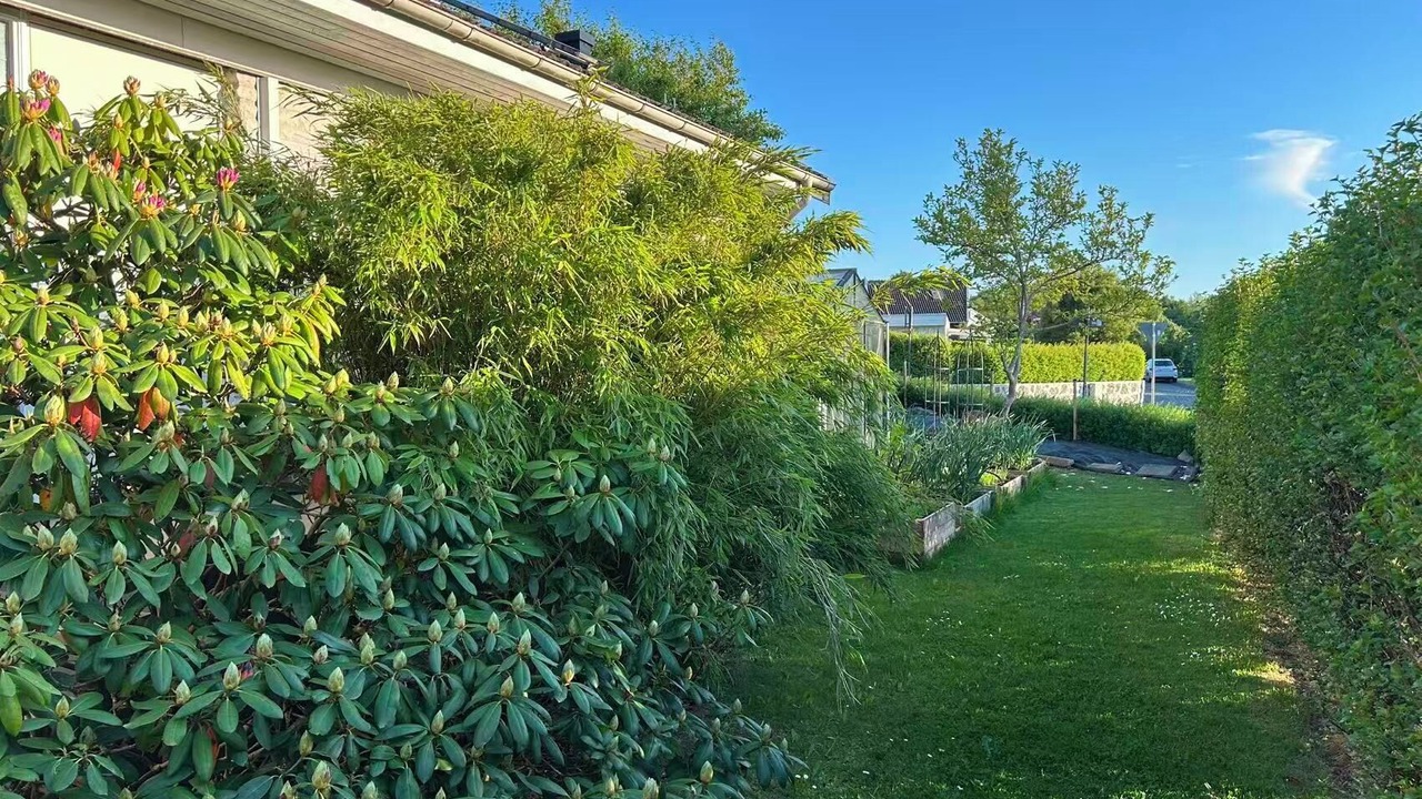 Photo of Outdoor in Bastad