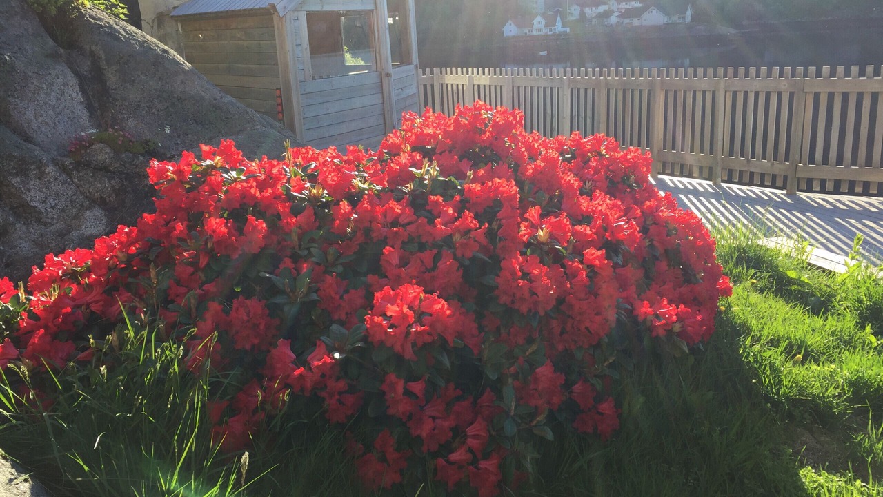 Photo of Outdoor in Svolvaer