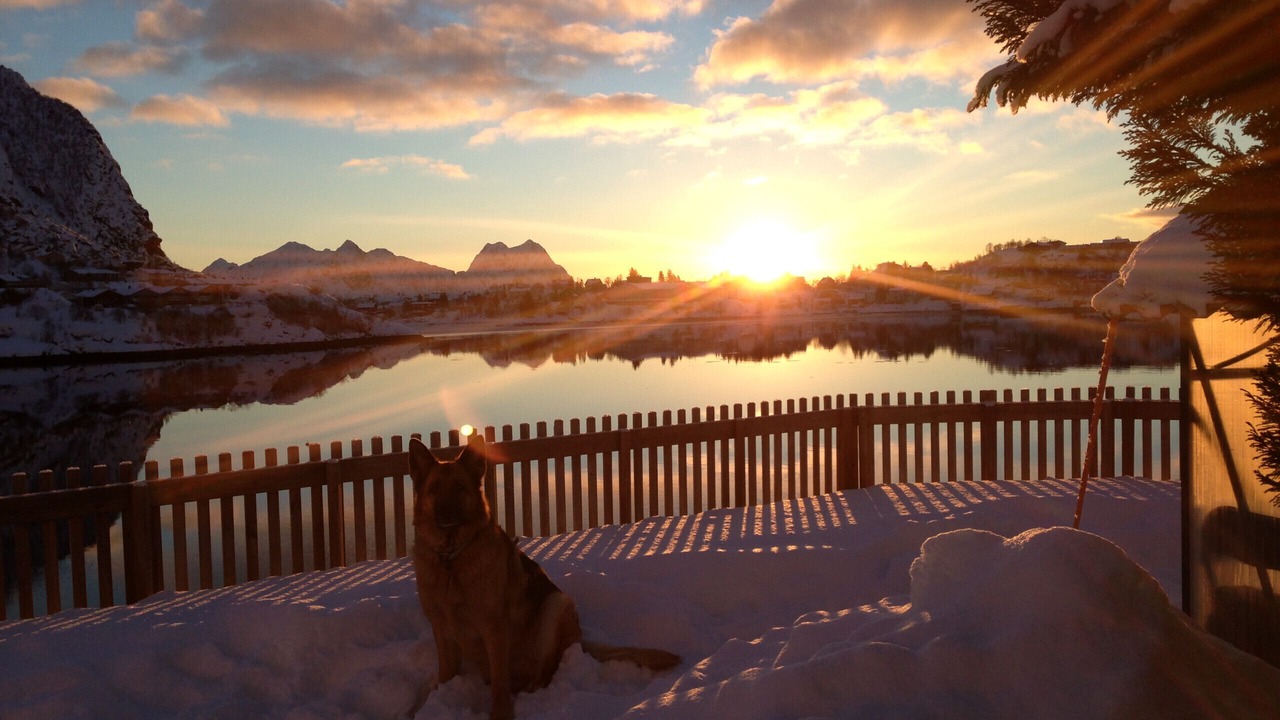 Photo of Outdoor in Svolvaer