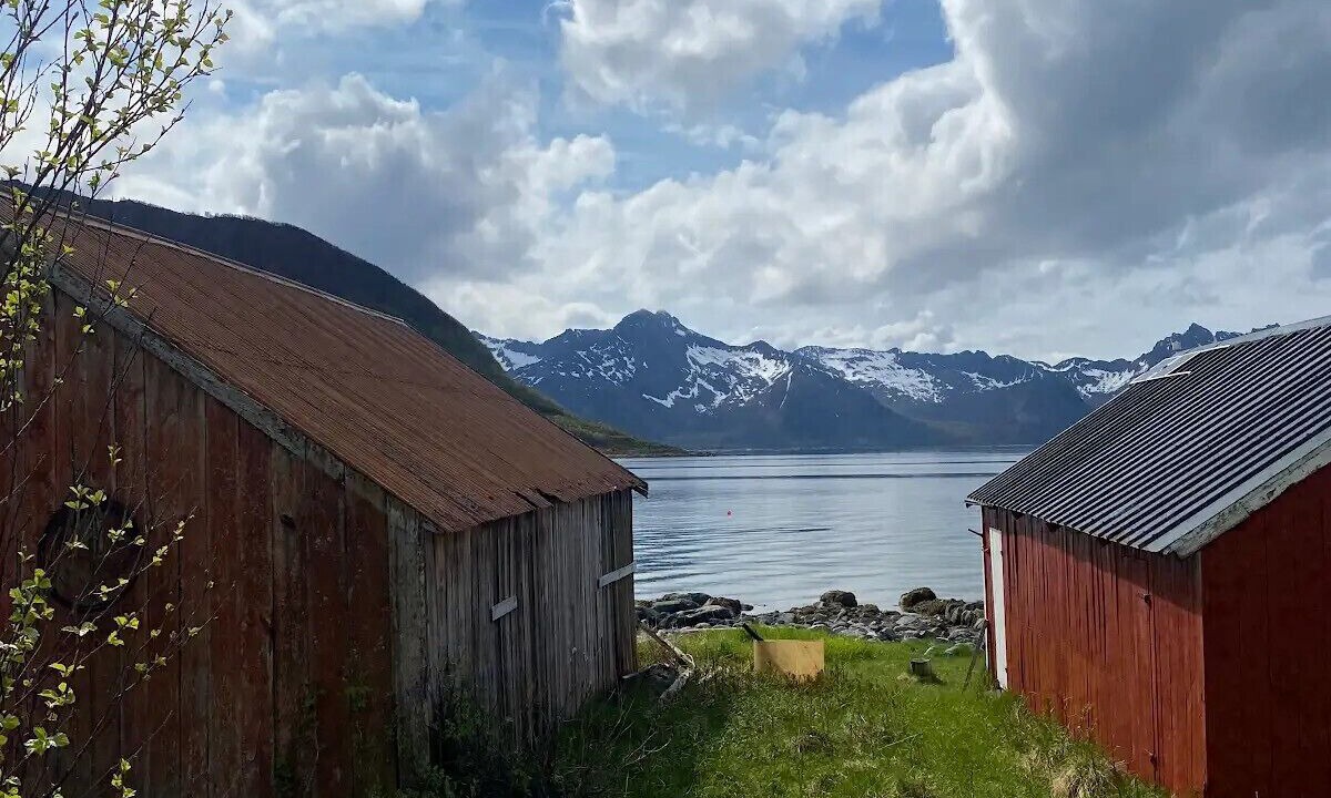 Photo of Others in Torsken