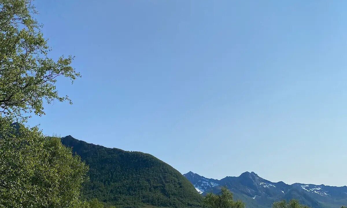 Photo of Others in Torsken