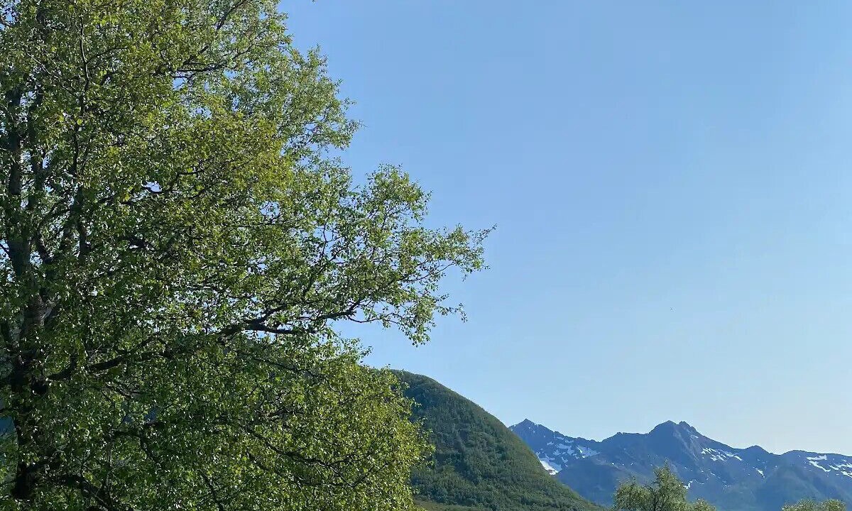 Photo of Others in Torsken