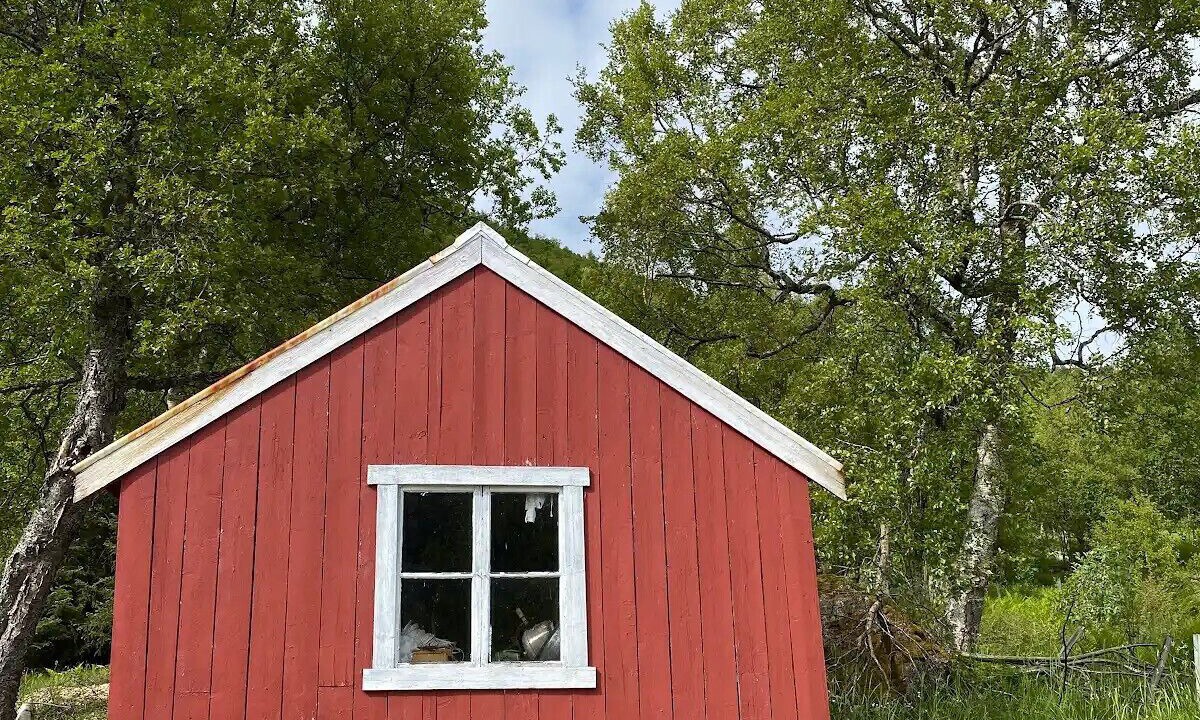 Photo of Outdoor in Torsken