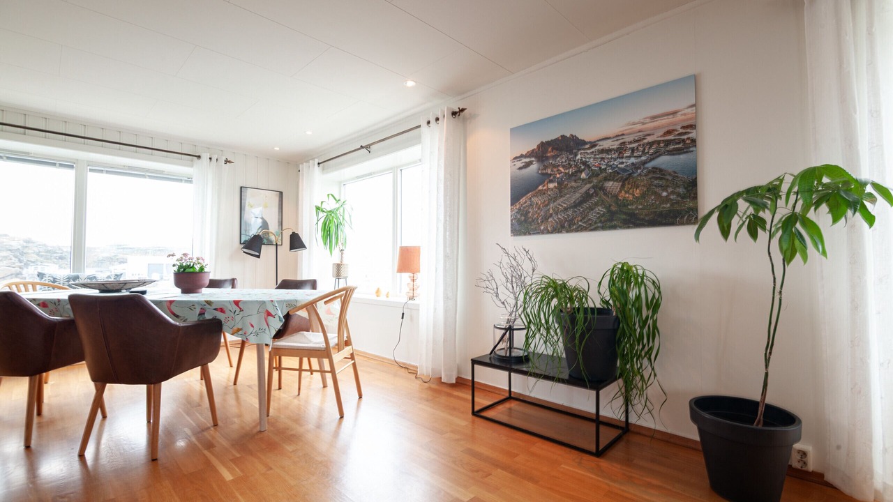 Photo of Others in Henningsvaer
