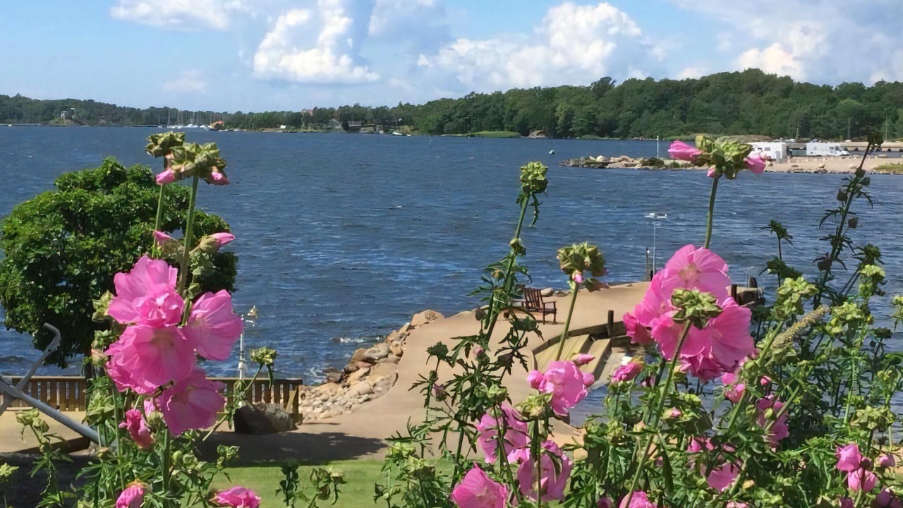 Photo of Others in Ronneby