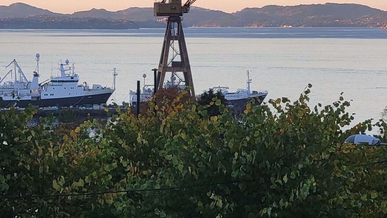 Photo of Others in Laksevag