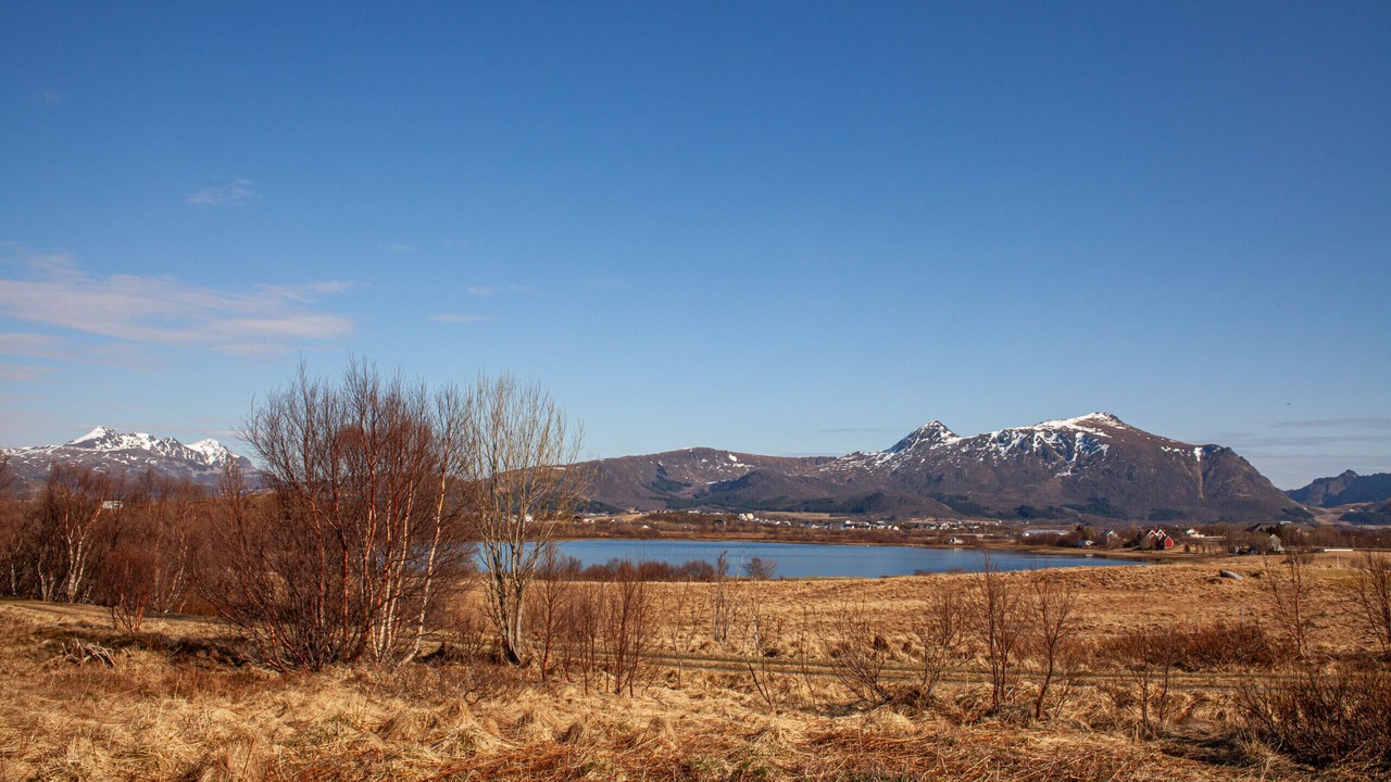 Photo of Others in Vestvagøy