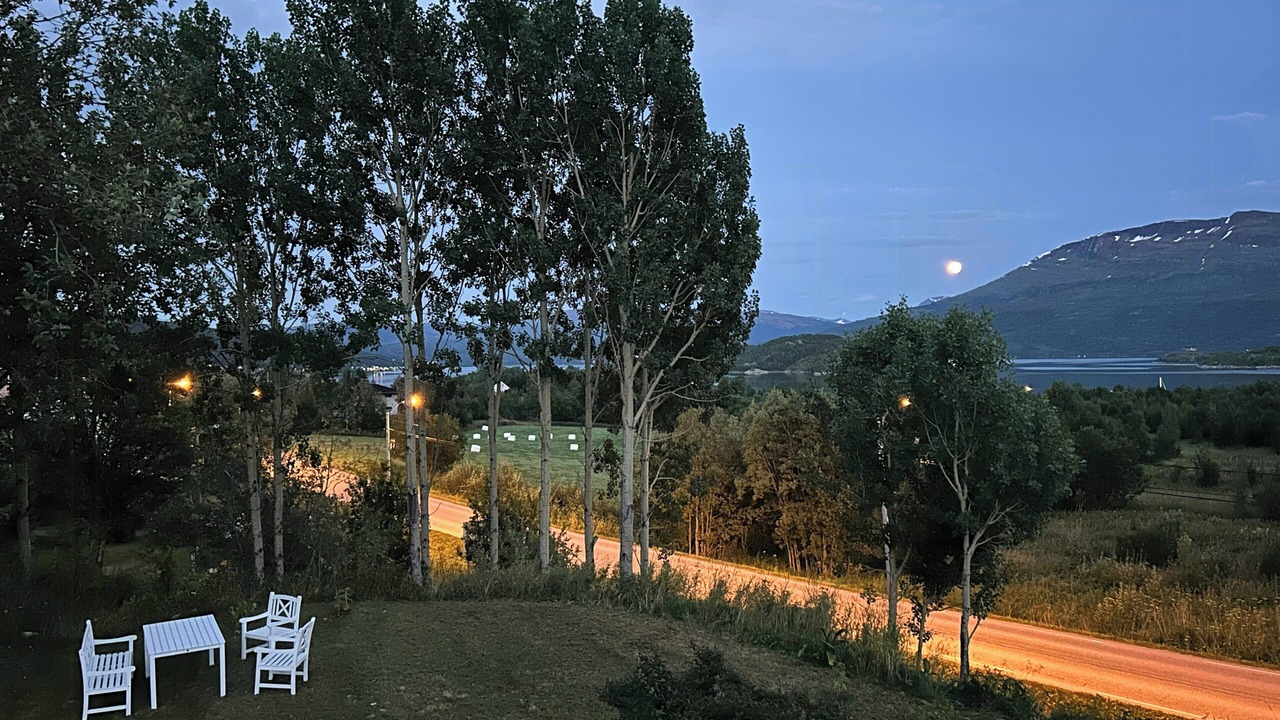 Photo of Outdoor in Salangen