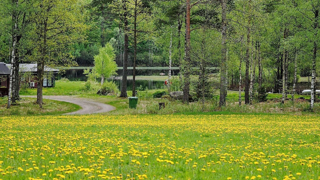 Photo of Others in Hyltebruk