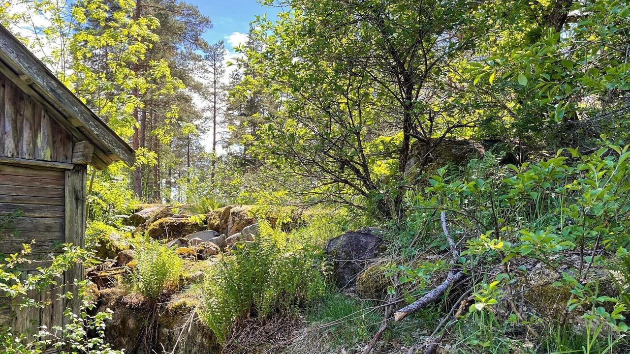 Photo of Outdoor in Kristdala