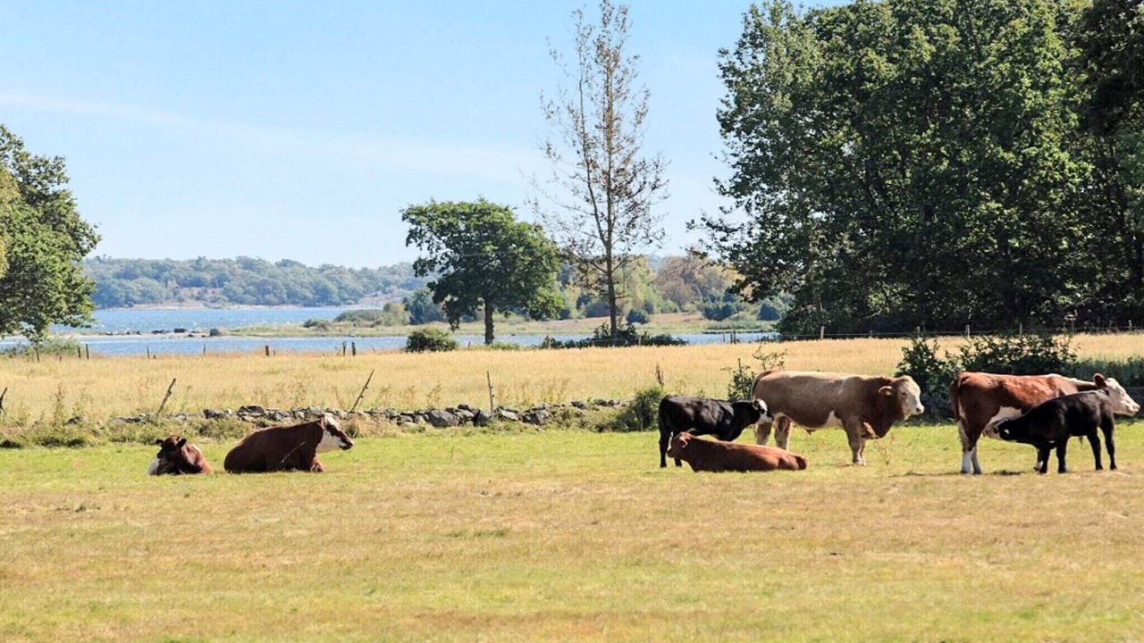 Photo of Outdoor in Listerby