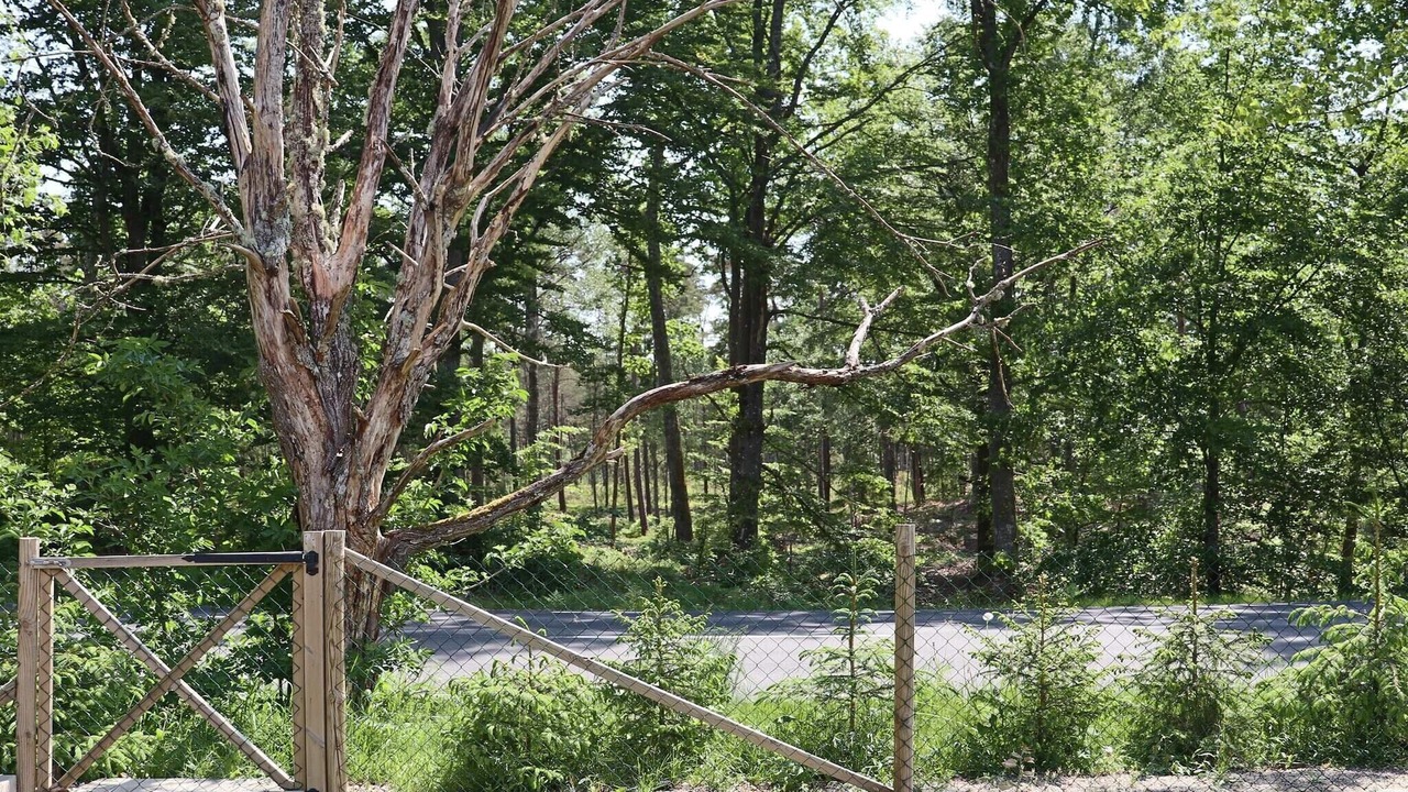 Photo of Outdoor in Vittsjo