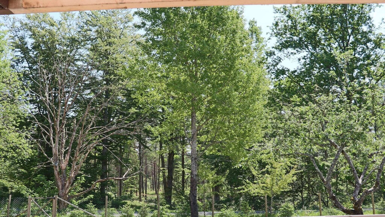 Photo of Outdoor in Vittsjo