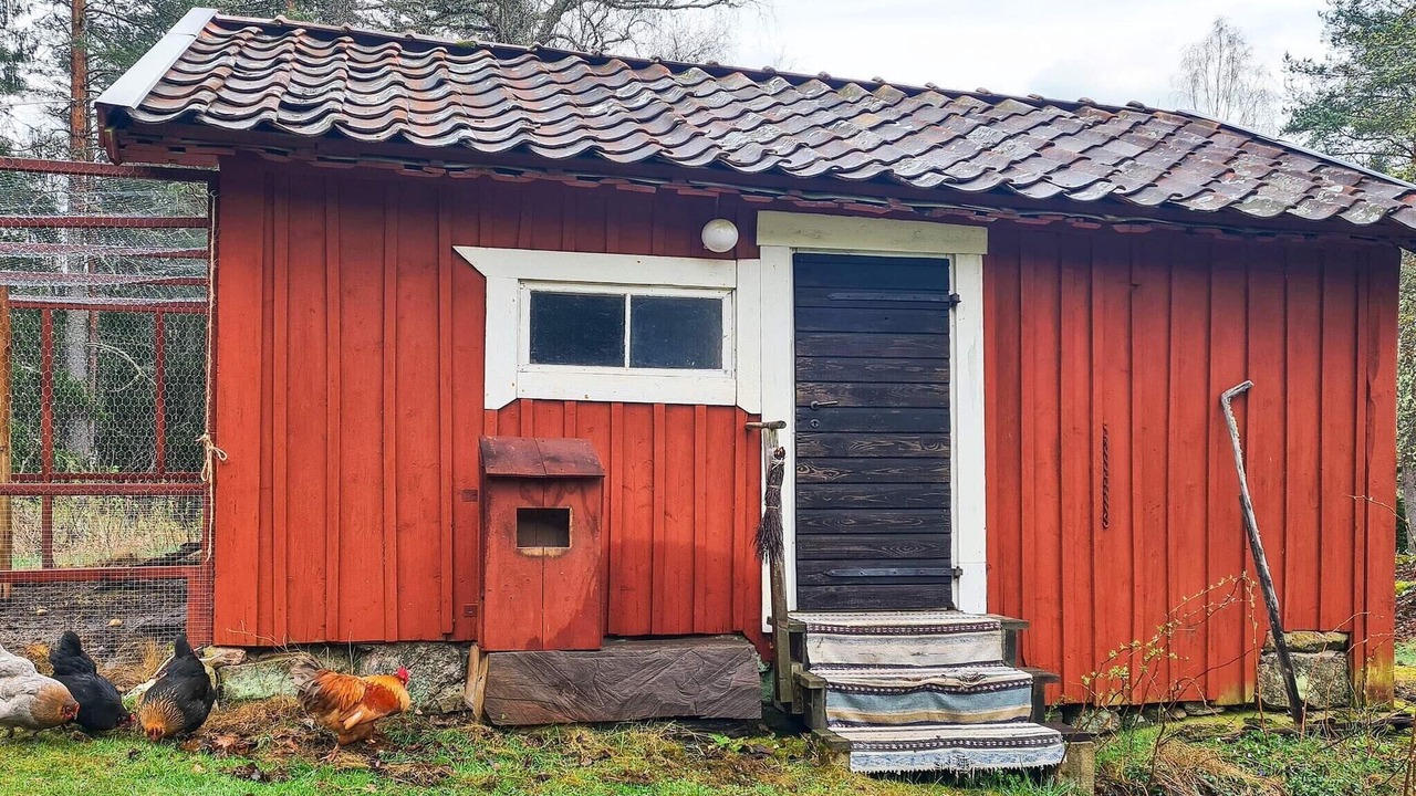 Photo of Outdoor in Flen Municipality