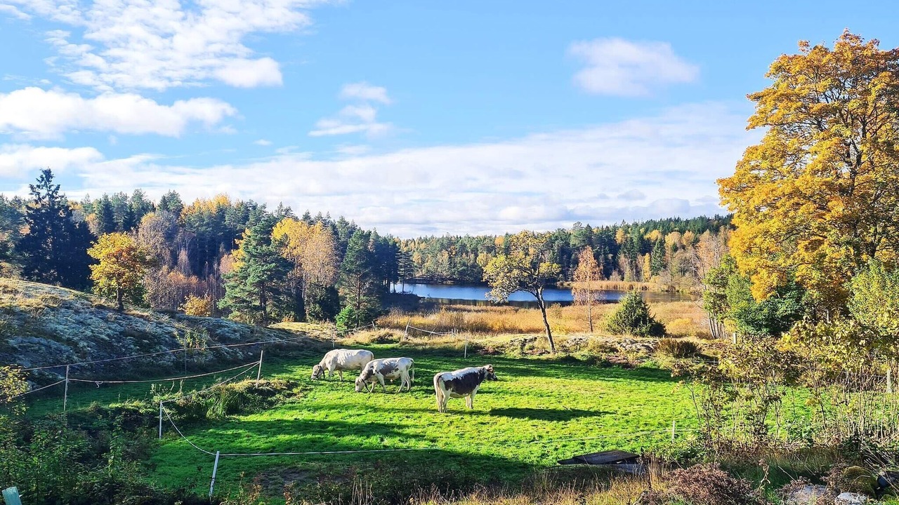 Photo of Outdoor in Flen Municipality