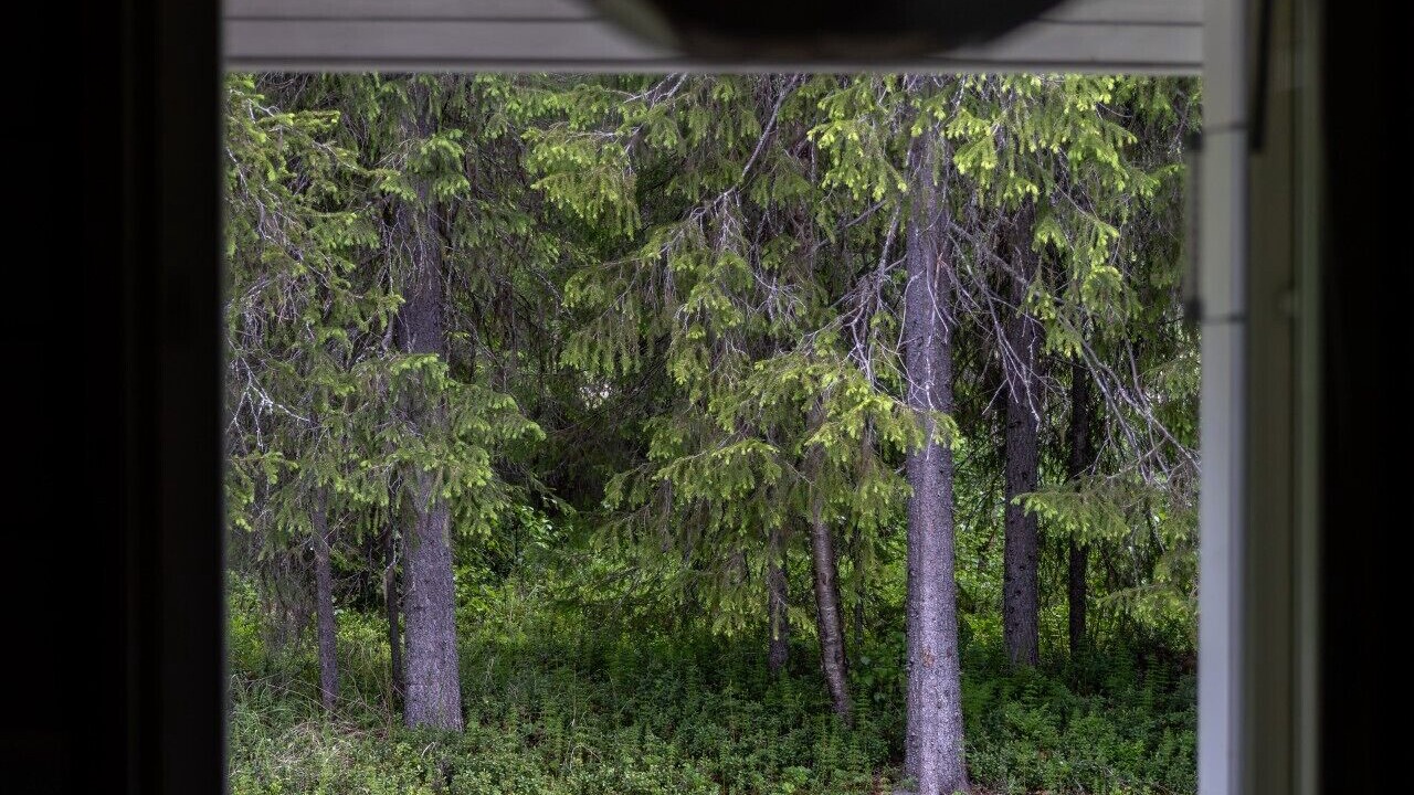 Photo of Others in Yllasjarvi