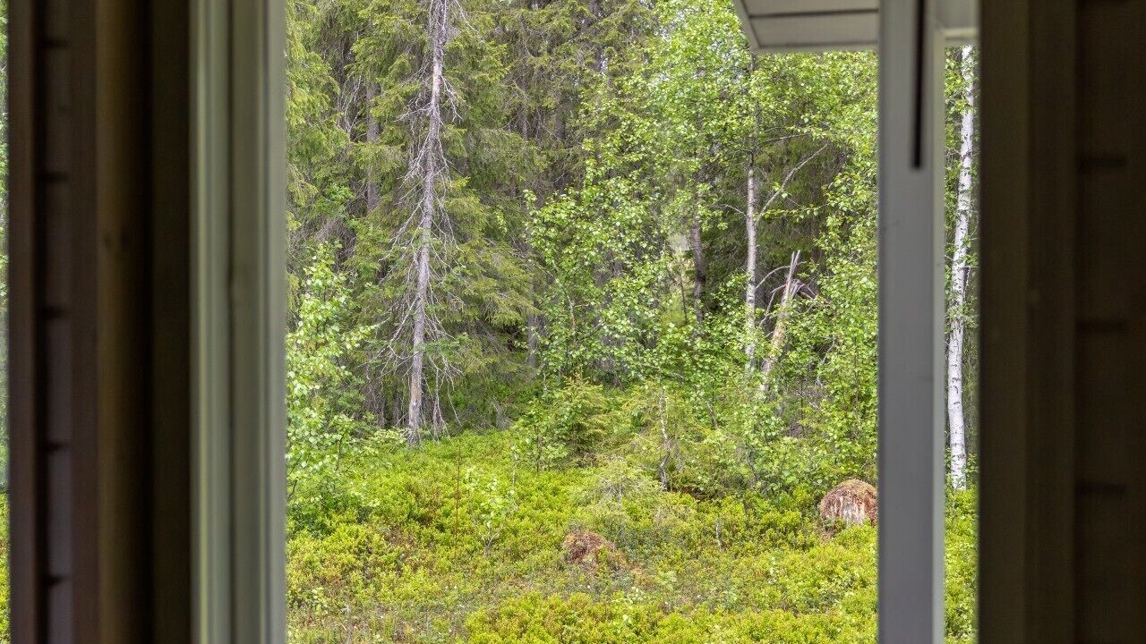 Photo of Others in Yllasjarvi