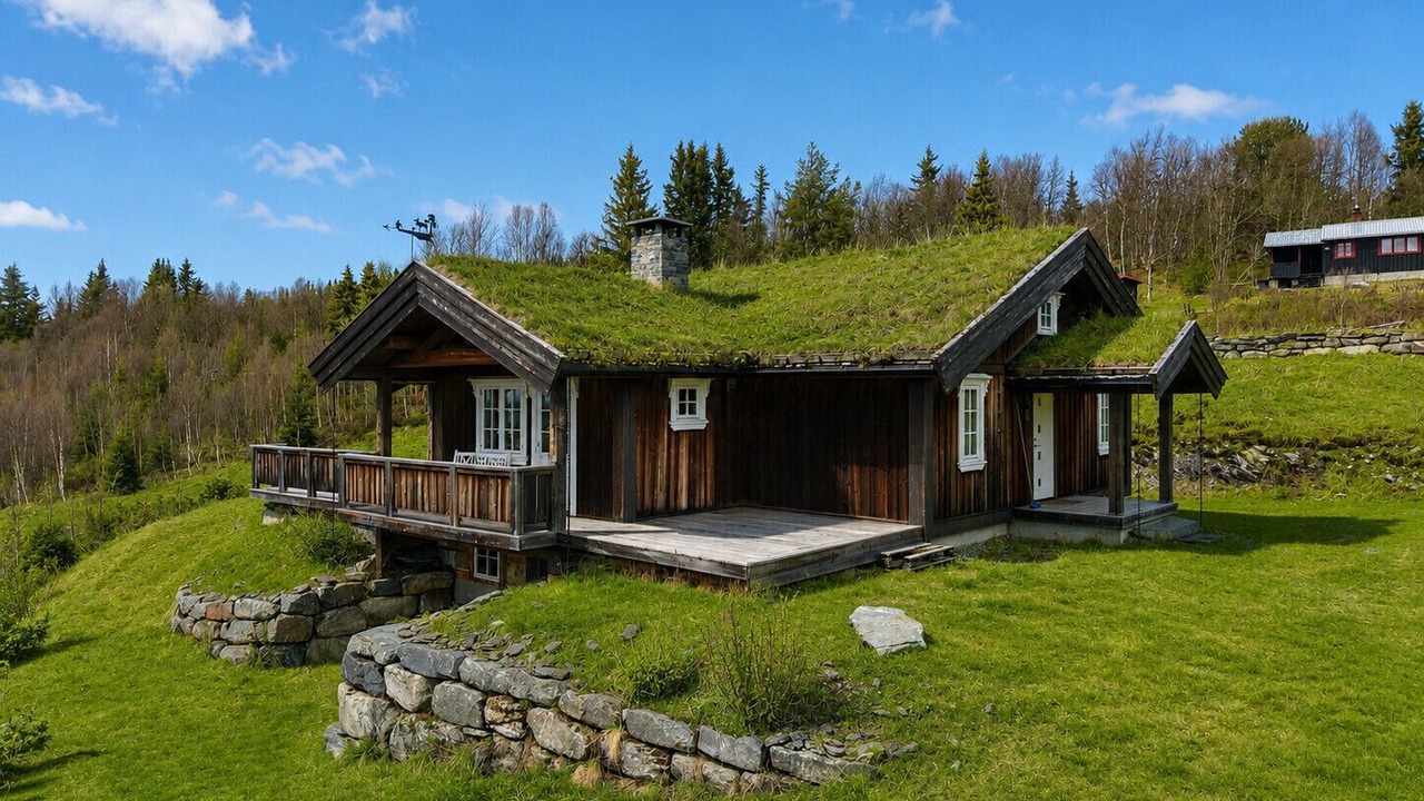 Photo of Outdoor in Gol Municipality