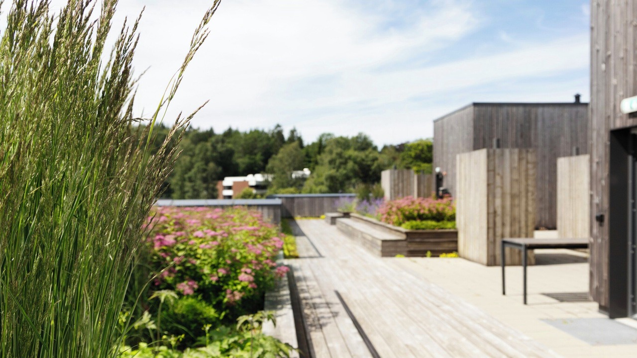 Photo of Outdoor in Sogn