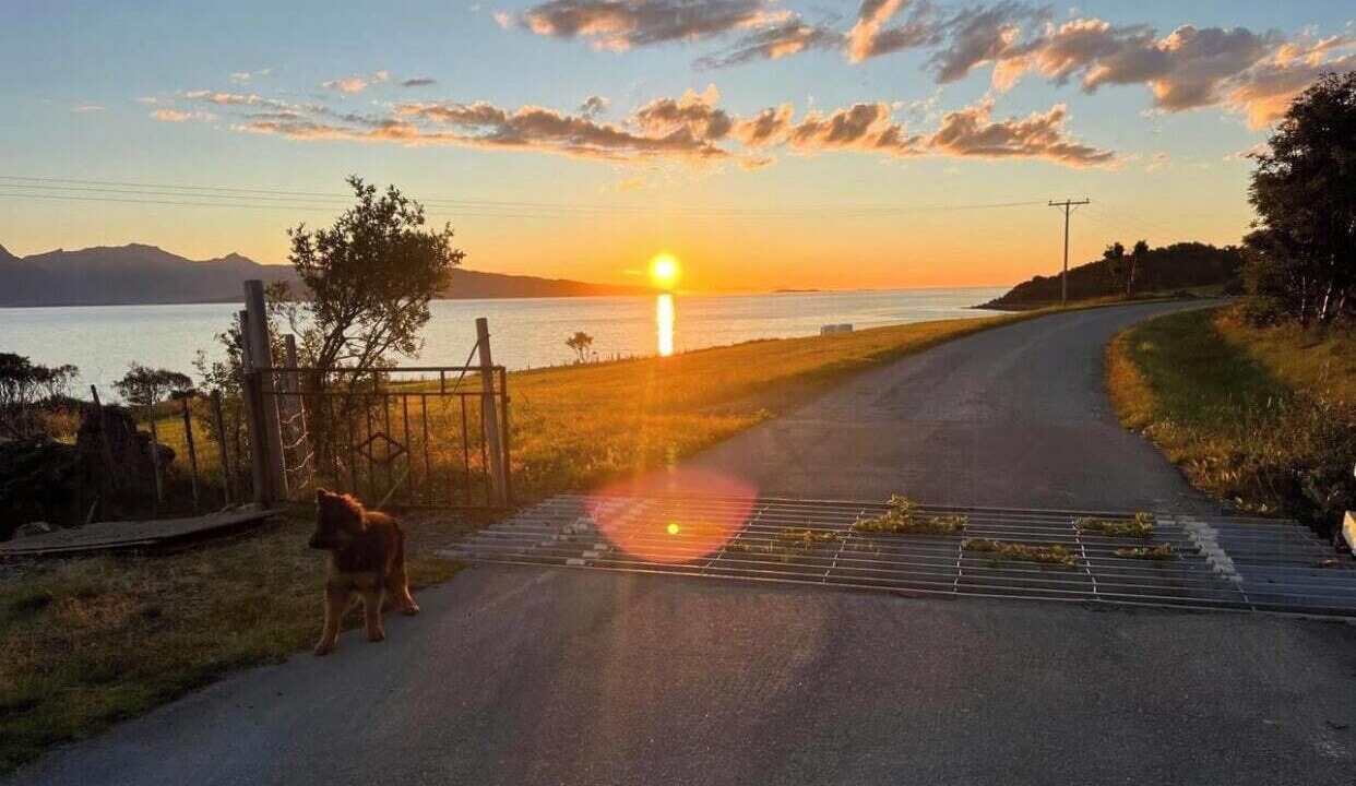 Photo of Others in Kvaefjord Municipality