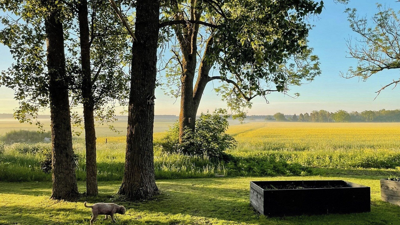 Photo of Outdoor in Gotland Municipality