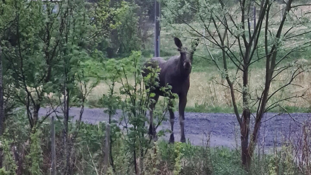 Photo of Others in Ballstad
